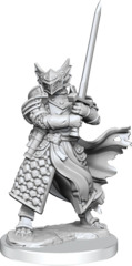 Dragonborn Paladin Male (Frameworks - W01)